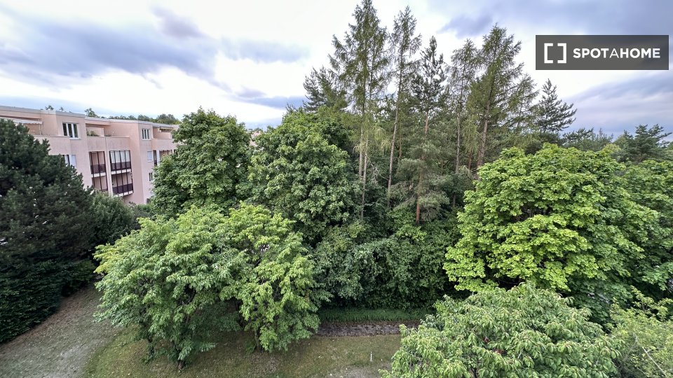 Apartment mono Munich, 40m² — photo 21