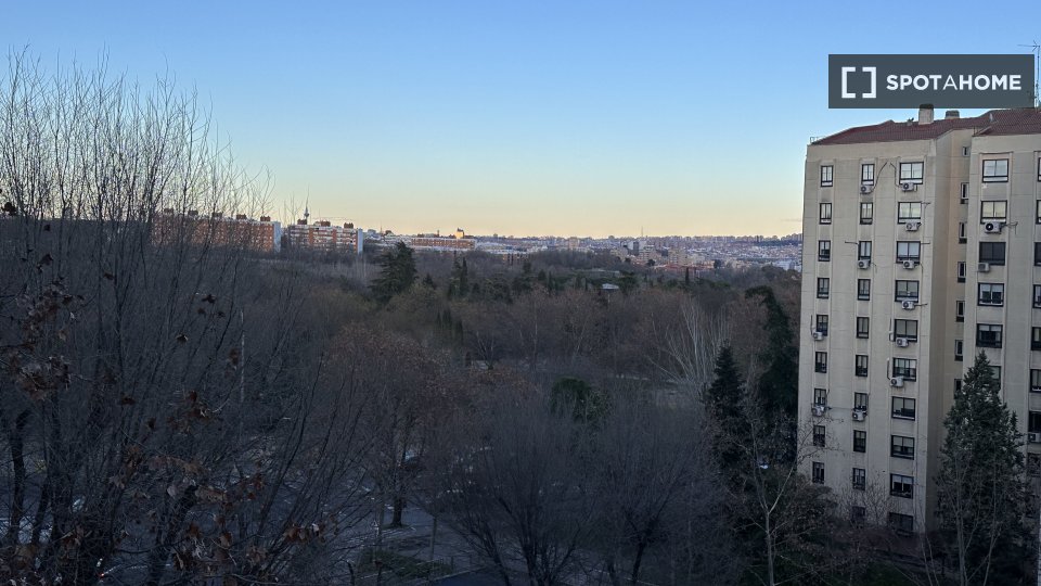 Double room Madrid, 5 beds, 110m² — photo 9