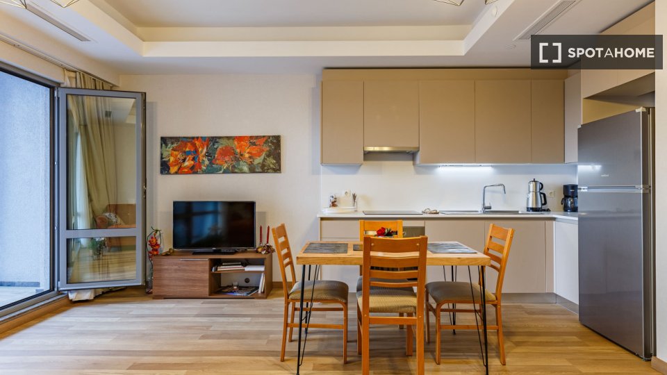 Apartment Istanbul, 1 bed — photo 13