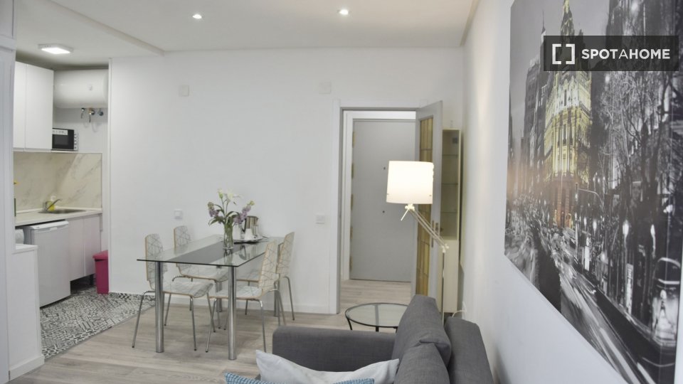Apartment mono Madrid, 30m² — photo 6