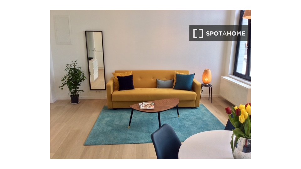 Apartment mono Brussels, 60m² — photo 10