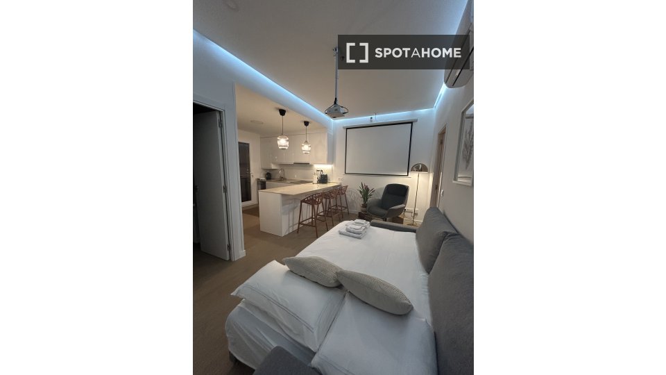 Apartment mono Madrid, 50m² — photo 11