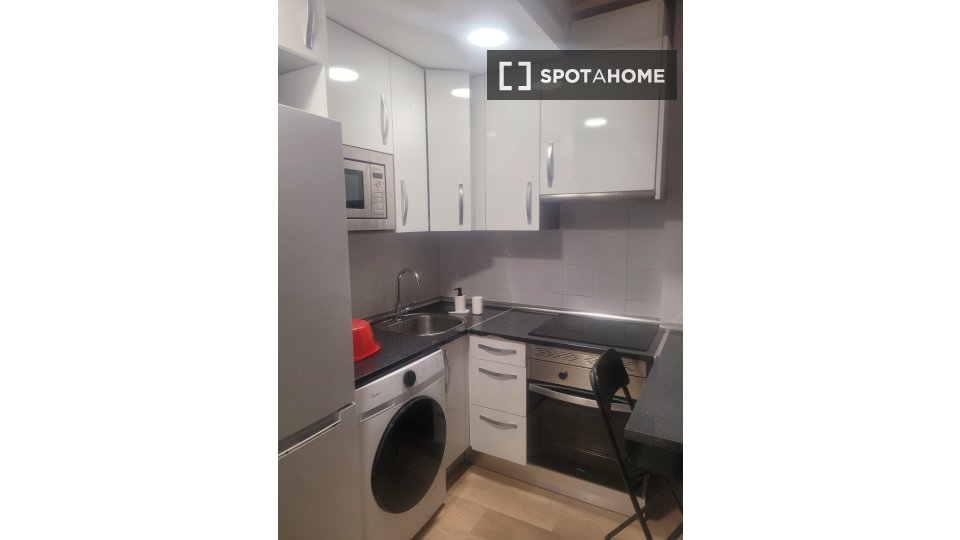 Apartment mono Madrid, 30m² — photo 4