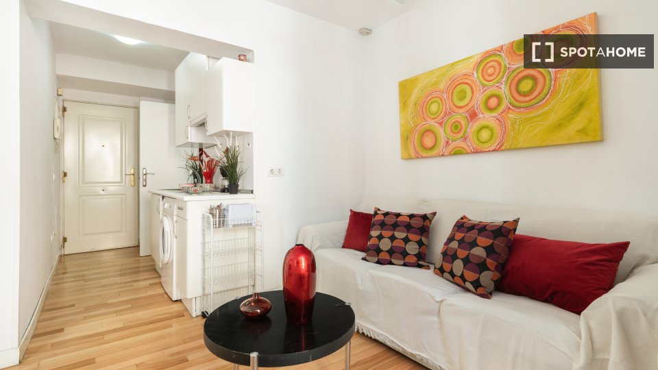 Apartment Madrid, 1 bed — photo 7