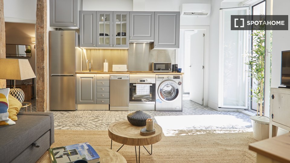 Apartment mono Madrid, 40m² — photo 4