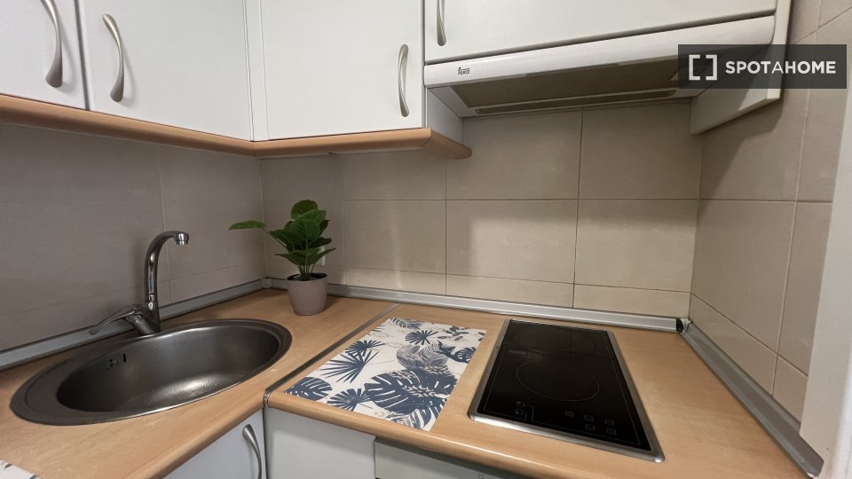 Apartment mono Madrid, 25m² — photo 4