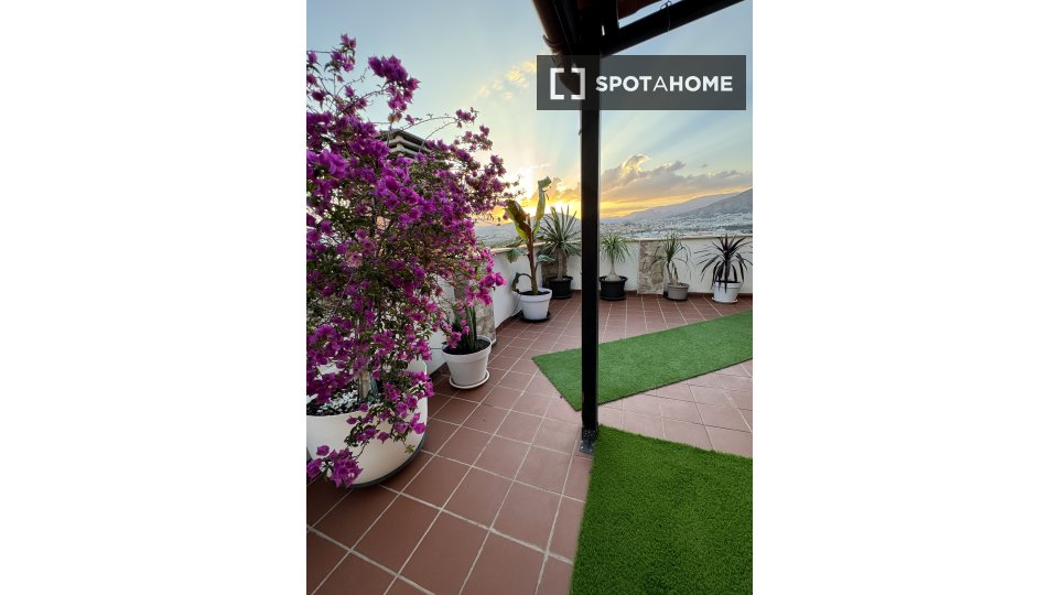 Apartment Alicante, 3 beds, 240m² — photo 19