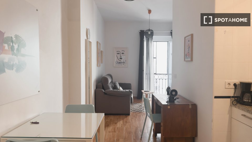 Apartment mono Seville, 60m² — photo 2
