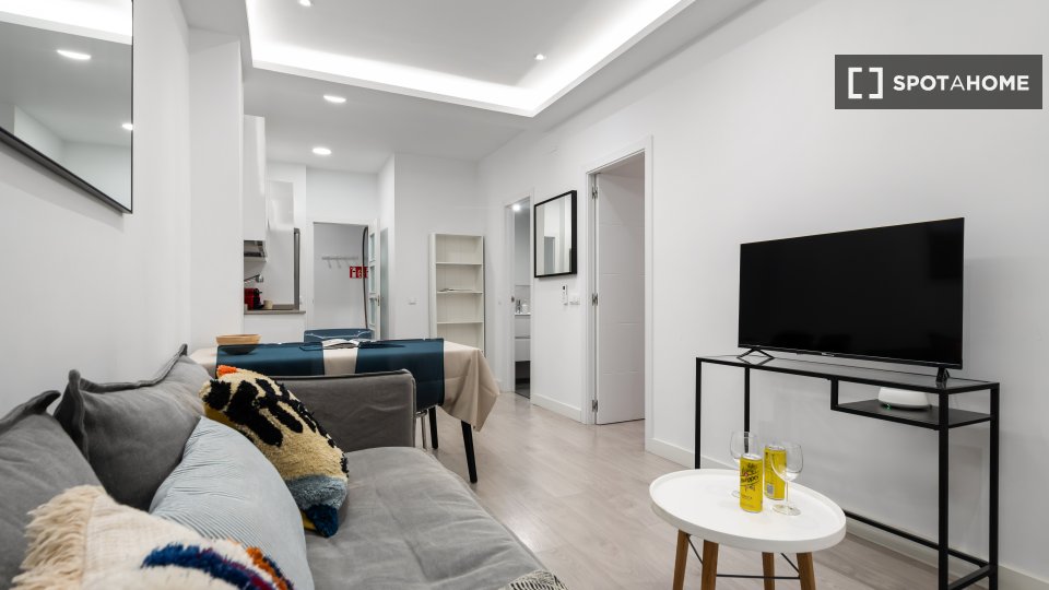 Apartment mono Madrid, 55m² — photo 9