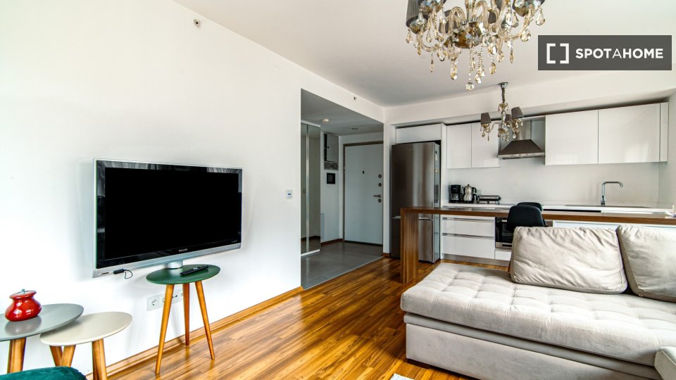 Apartment Istanbul, 1 bed — photo 14