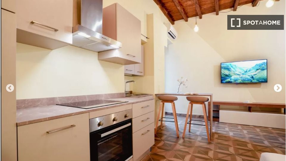 Apartment mono Turin — photo 13