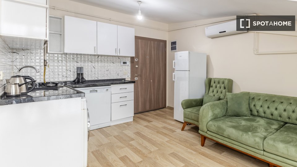 Apartment Istanbul, 1 bed — photo 11