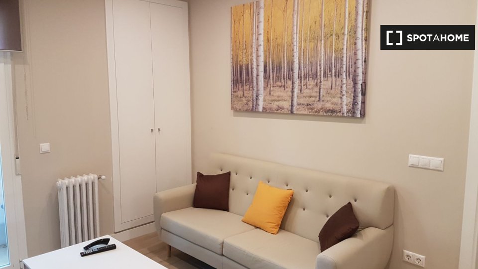Double room Madrid, 3 beds, 80m² — photo 12