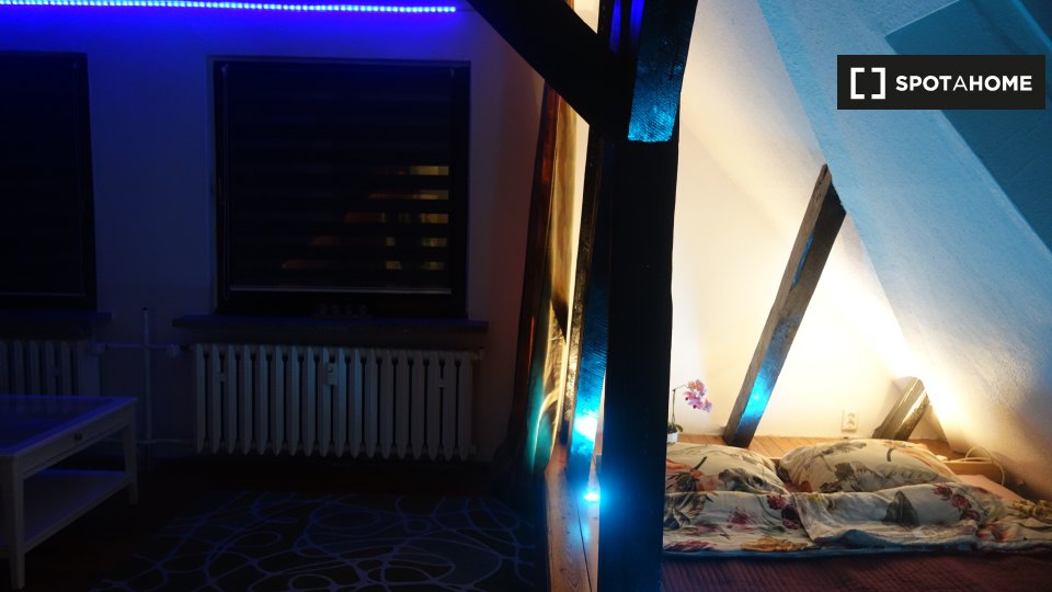 Apartment mono Berlin, 45m² — photo 12