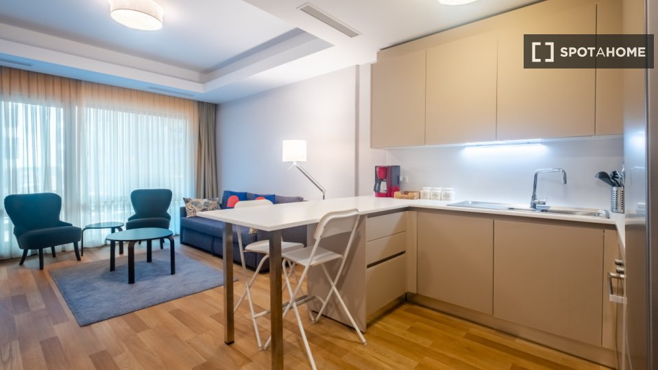 Apartment Istanbul, 1 bed — photo 3