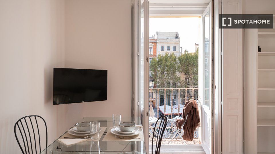 Apartment mono Madrid, 50m² — photo 18