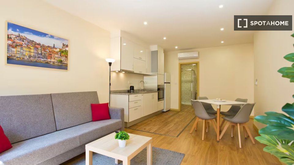 Apartment Porto, 1 bed — photo 11