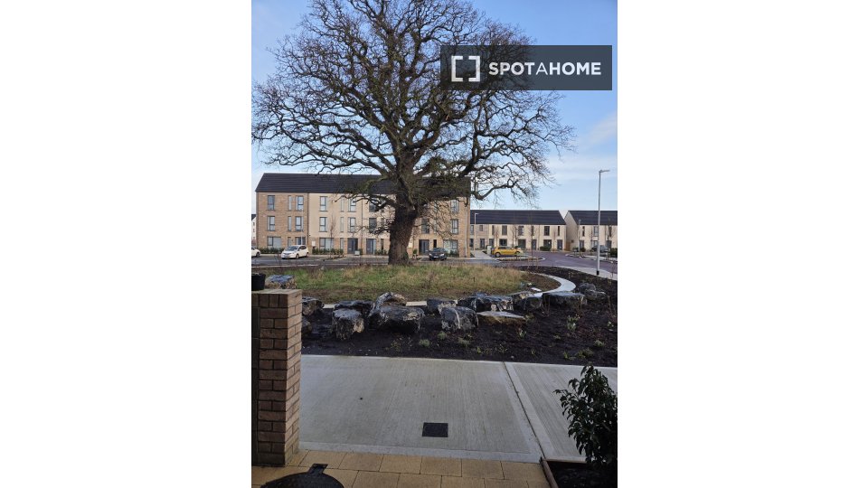 Double room Dublin, 1 bed, 147m² — photo 4