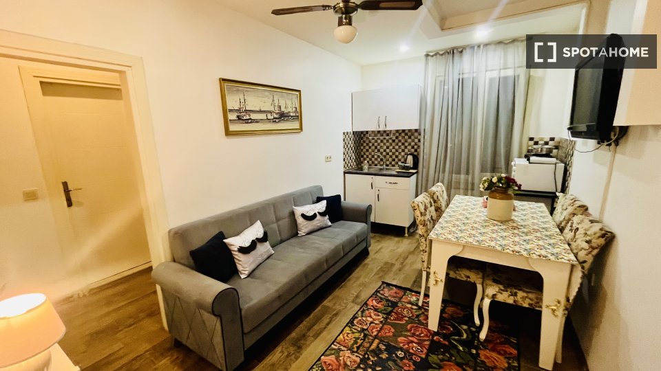 Apartment Istanbul, 1 bed, 48m² — photo 1