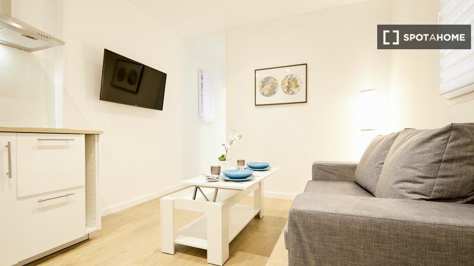 Apartment Madrid, 1 bed — photo 15