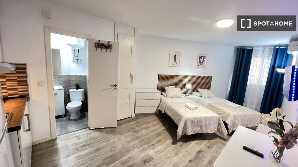 Apartment mono Madrid — photo 23
