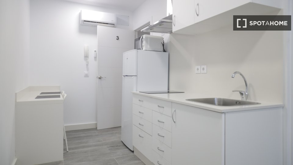 Apartment Madrid, 1 bed — photo 3