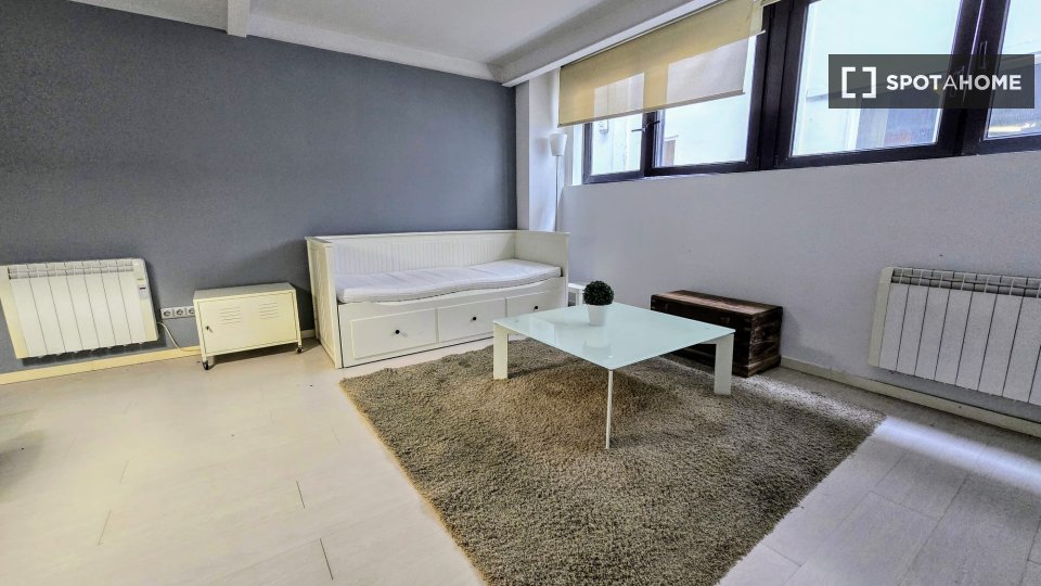 Apartment mono San_Sebastian, 52m² — photo 8