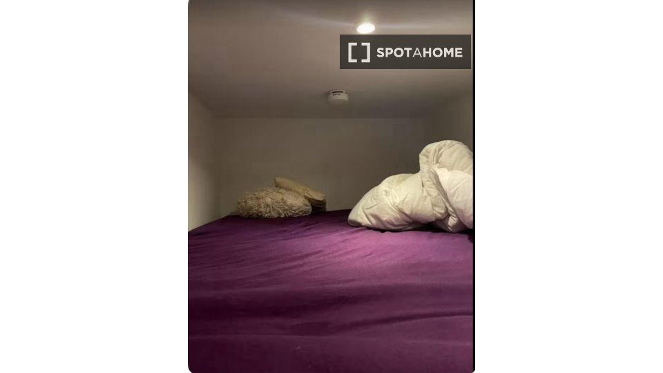 Double room Berlin, 2 beds, 42m² — photo 12