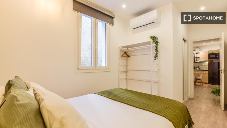 Double room Madrid, 2 beds, 60m² — photo 7