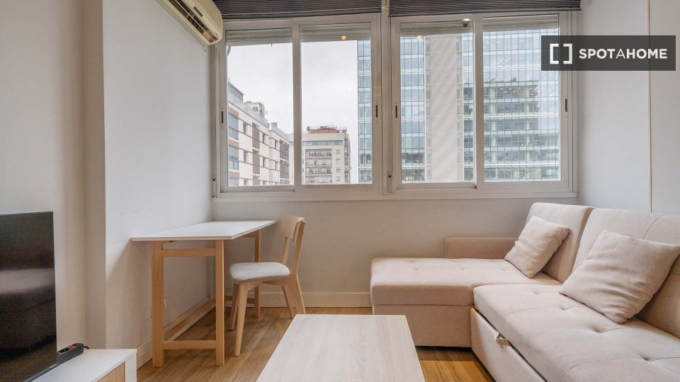 Apartment Madrid, 1 bed — photo 33
