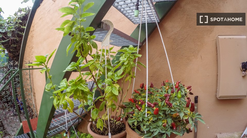 Apartment Rome, 1 bed, 40m² — photo 16