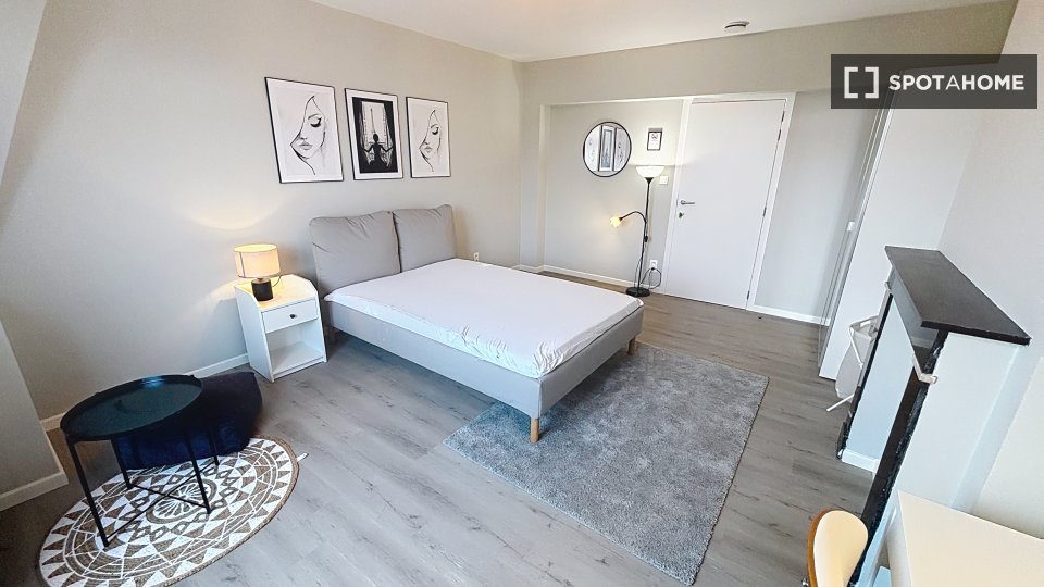 Double room Brussels, 5 beds — photo 13