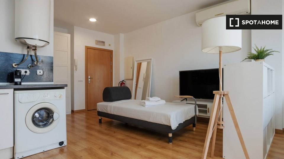 Apartment mono Madrid — photo 8