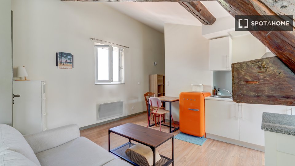 Appartamento Lione, 1 camera, 37m² — foto 8