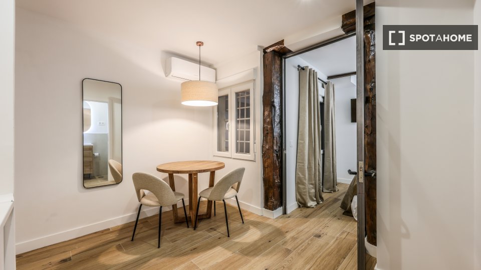 Apartment mono Madrid, 22m² — photo 14