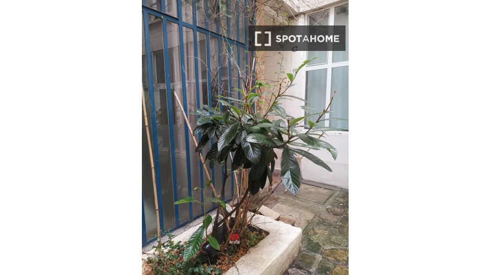Apartment mono Paris, 16m² — photo 14