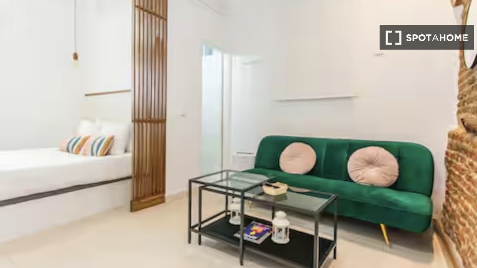 Apartment Madrid, 1 bed — photo 11