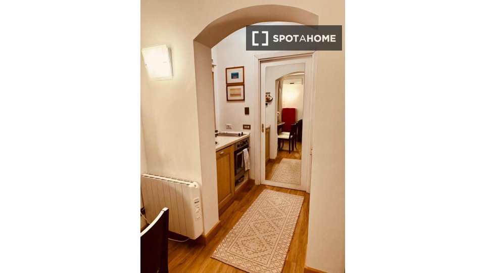 Apartment mono Rome, 38m² — photo 12