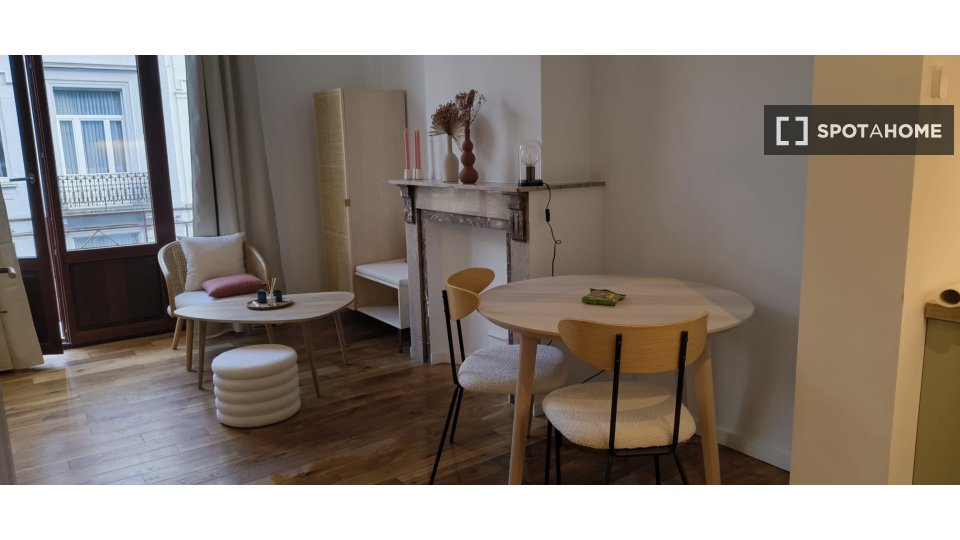 Apartment mono Brussels, 28m² — photo 5