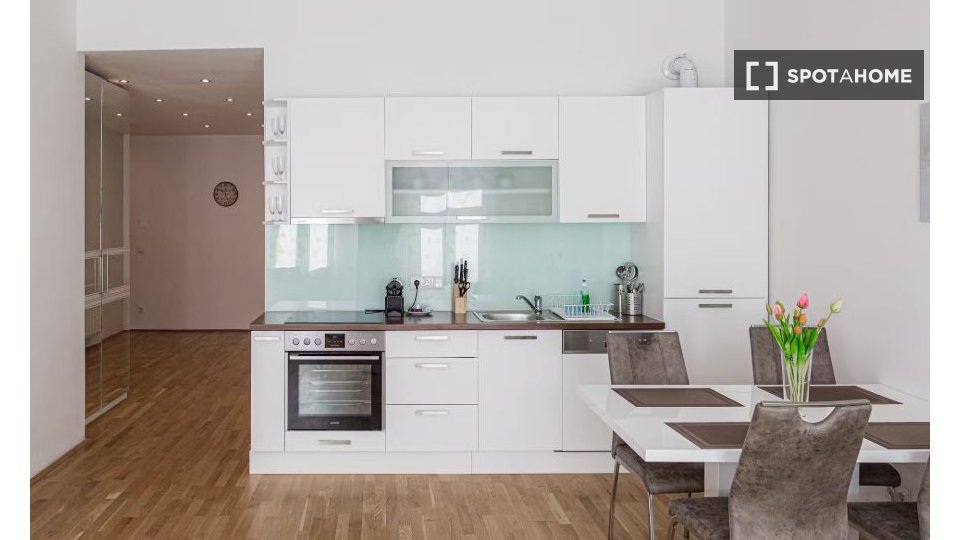 Apartment Vienna, 1 bed, 50m² — photo 1