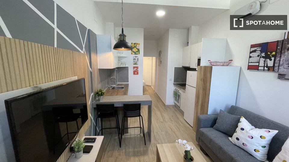 Apartment Madrid, 1 bed — photo 34