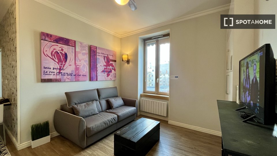 Apartment Lyon, 1 bed — photo 25