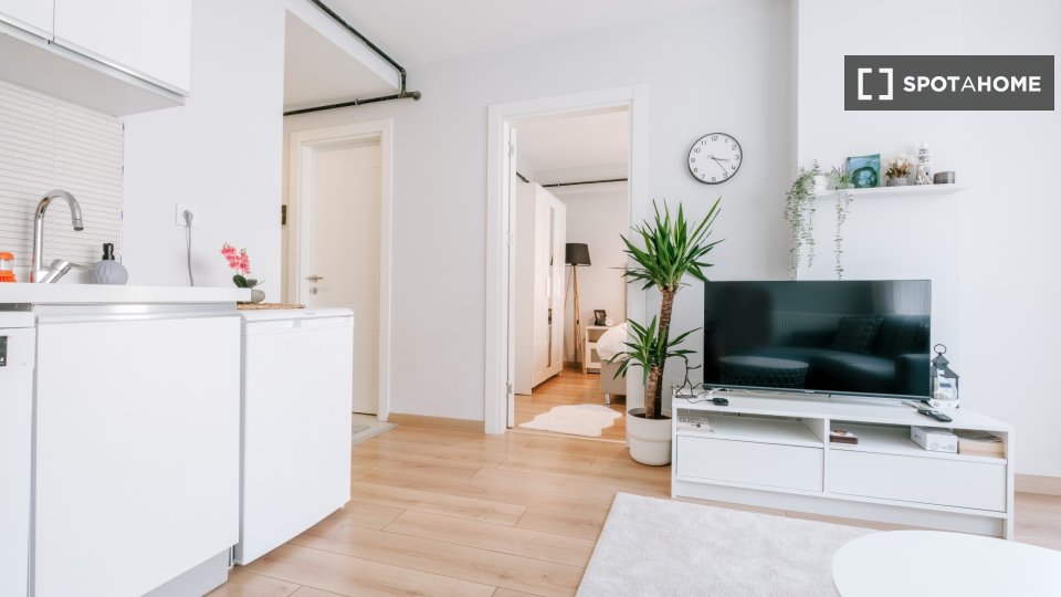 Apartment Istanbul, 1 bed — photo 11