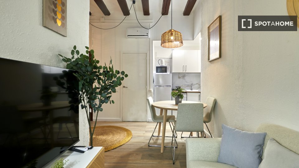 Apartment Barcelona, 1 bed, 40m² — photo 11