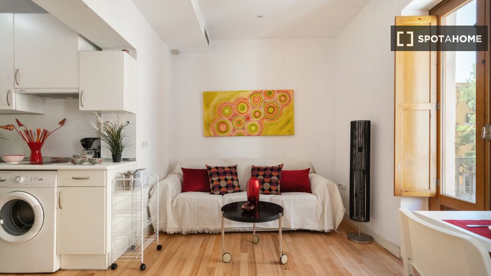 Apartment Madrid, 1 bed — photo 9