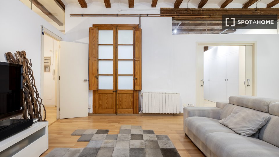Apartment Barcelona, 2 beds — photo 17
