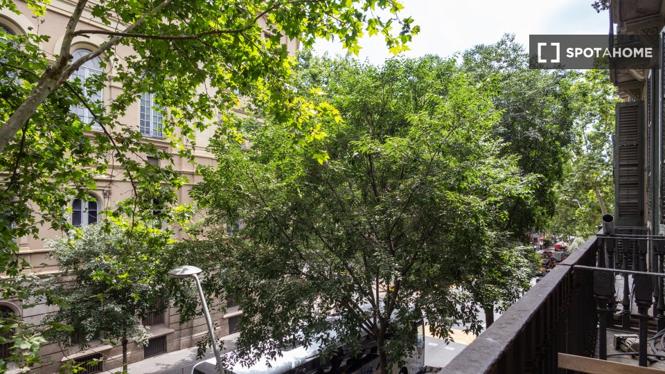 Double room Barcelona, 8 beds, 239m² — photo 8