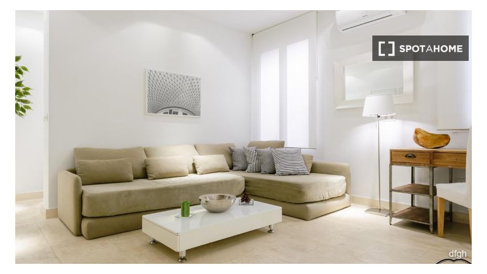 Apartment Madrid, 1 bed — photo 14