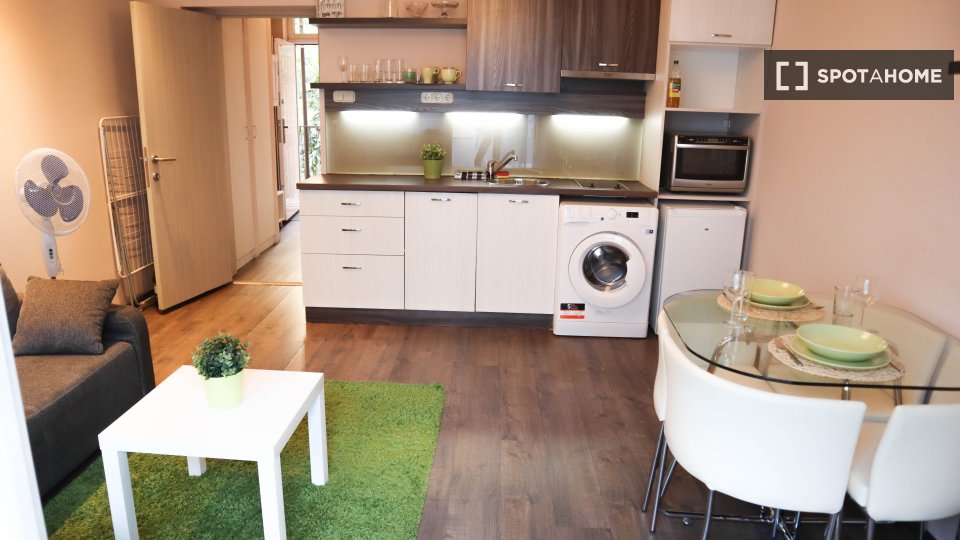 Apartment mono Budapest, 40m² — photo 9