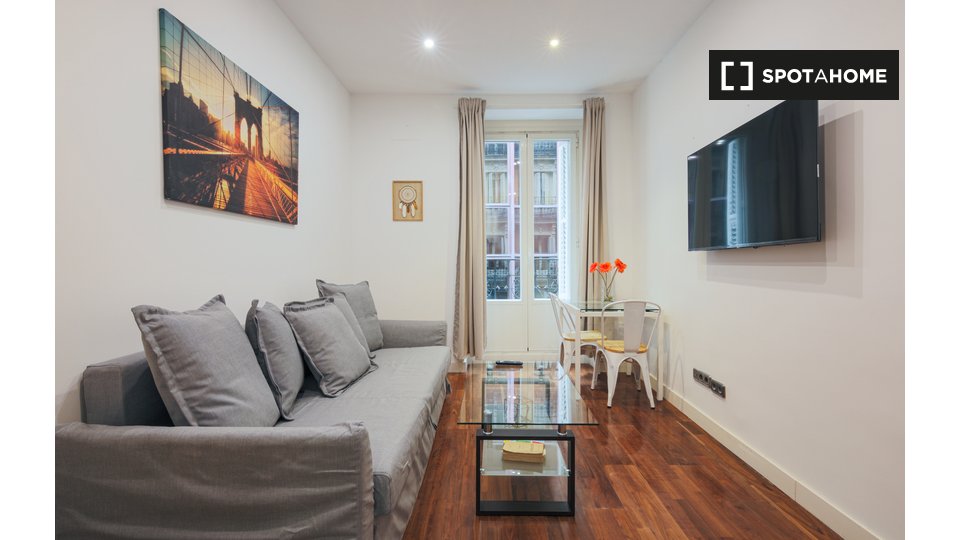 Apartment Madrid, 1 bed — photo 2